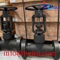 FLANGE END PRESSURE SELF SEALING GLOBE VALVE