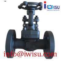 FORGED A105 GATE VALVE FLANGED END