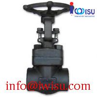 FORGED STEEL THREADED NPT GATE VALVE
