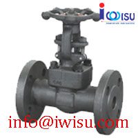 INTEGRAL FLANGE FORGED GATE VALVE