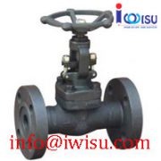 J41H A105 FLANGE GLOBE VALVE