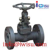 J41H A105 FLANGE GLOBE VALVE