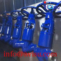 J61Y-P54 250V GLOBE VALVE