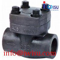 SOCKET WELD SW FORGED STEEL CHECK VALVE