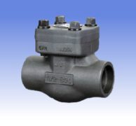 Lift Check Valve ANSI cl. 150 800 - Serie 430