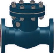 Swing check valve - Series 451
