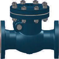 Swing check valve - Series 451