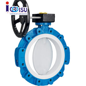 VAN BƯỚM LÓT PTFE-PFA