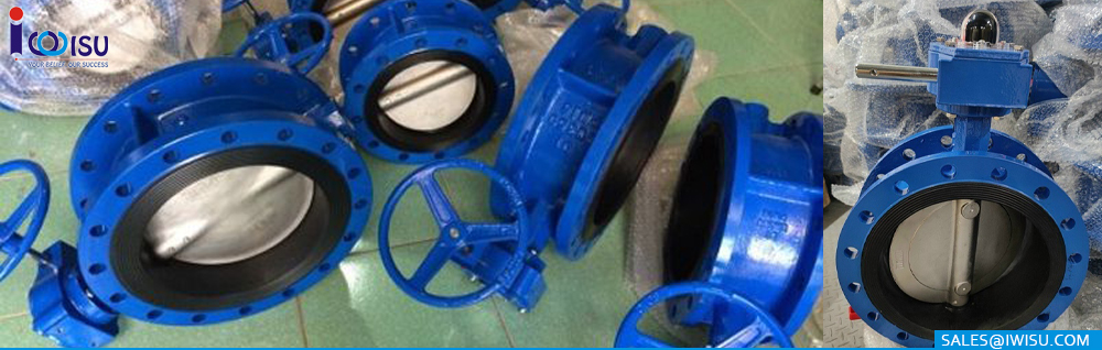 Butterfly valves hse carbon steel class 600