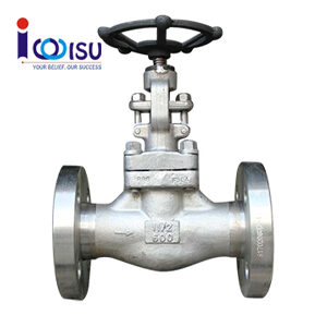 GLOBE VALVE A182 F304 CLASS 600
