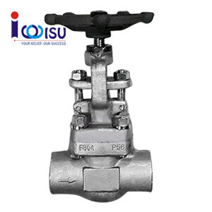 GLOBE VALVE A182 F304 CLASS 800