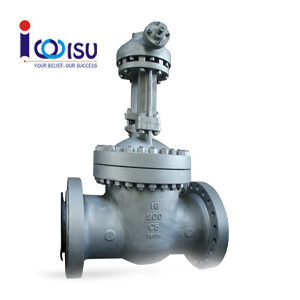 Gate valve HSE cast steel class 900