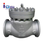 SWING CHECK VALVE HSE A105 CLASS 300