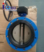 van bướm HSE thép carbon class 300