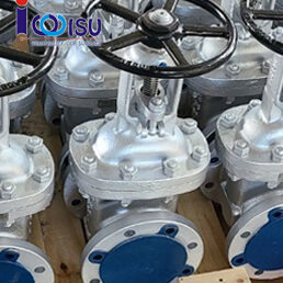 van cong HSE thep duc class 150